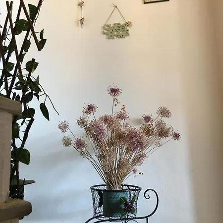 Venetia's Stone House Apartment *